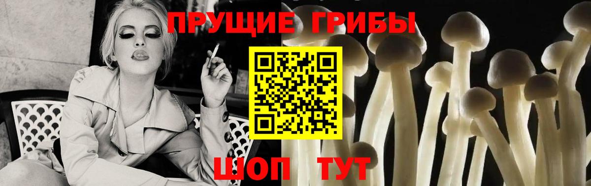 Псилоцибиновые грибы Magic Shrooms  Вход с VPN  Галлюциногенные грибы GOLDEN TEACHER  Сарапул 